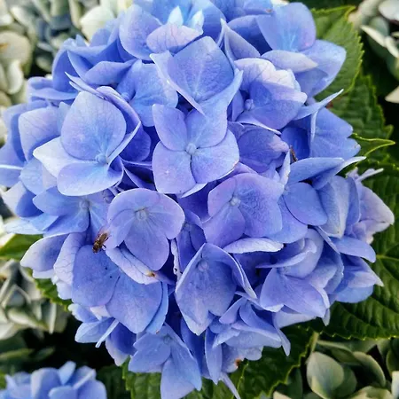 Uebernachten In Unseren Crutpracht Gaestezimmern Mit Grossem Bauernfruehstueck, Ab April 24 Auch In Der Duffel-scheune