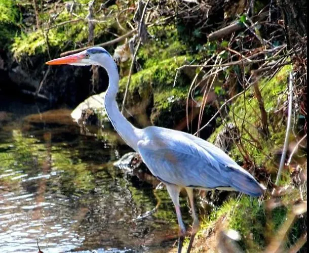 Uebernachten In Unseren Crutpracht Gaestezimmern Mit Grossem Bauernfruehstueck, Ab April 24 Auch In Der Duffel-scheune * Kirchhundem
