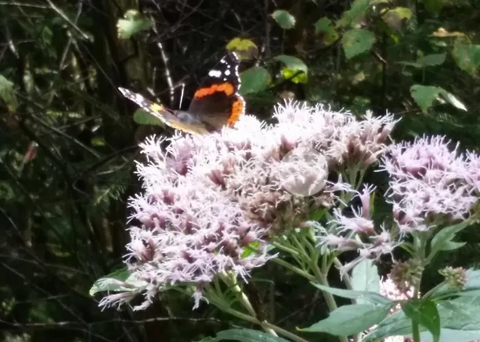 Uebernachten In Unseren Crutpracht Gaestezimmern Mit Grossem Bauernfruehstueck, Ab April 24 Auch In Der Duffel-scheune Apartman Kirchhundem