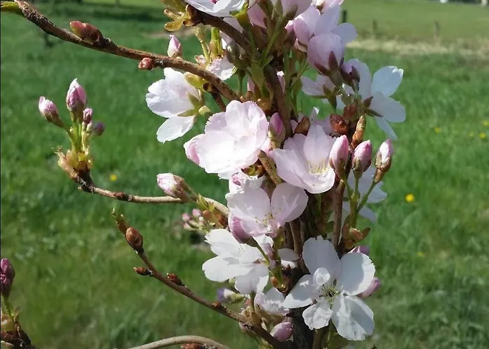 Uebernachten In Unseren Crutpracht Gaestezimmern Mit Grossem Bauernfruehstueck, Ab April 24 Auch In Der Duffel-scheune *