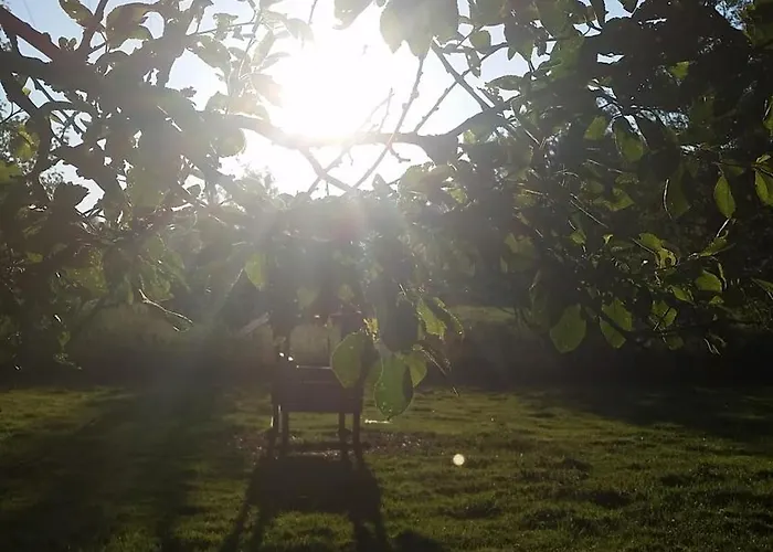 Uebernachten In Unseren Crutpracht Gaestezimmern Mit Grossem Bauernfruehstueck, Ab April 24 Auch In Der Duffel-scheune Kirchhundem