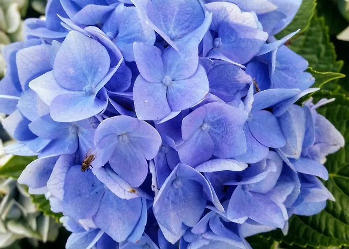 Uebernachten In Unseren Crutpracht Gaestezimmern Mit Grossem Bauernfruehstueck, Ab April 24 Auch In Der Duffel-scheune