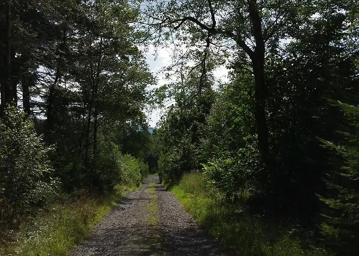 Apartman Uebernachten In Unseren Crutpracht Gaestezimmern Mit Grossem Bauernfruehstueck, Ab April 24 Auch In Der Duffel-scheune *