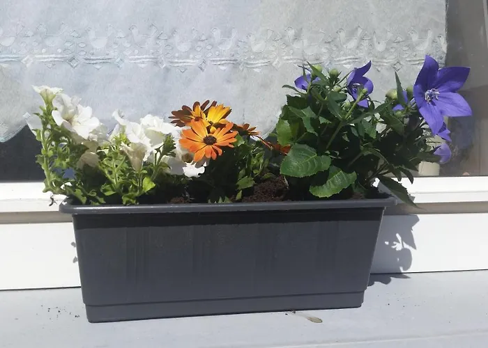 Uebernachten In Unseren Crutpracht Gaestezimmern Mit Grossem Bauernfruehstueck, Ab April 24 Auch In Der Duffel-scheune