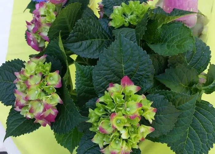 Uebernachten In Unseren Crutpracht Gaestezimmern Mit Grossem Bauernfruehstueck, Ab April 24 Auch In Der Duffel-scheune * Kirchhundem